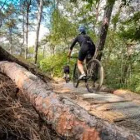 Horská chata Am Treis *