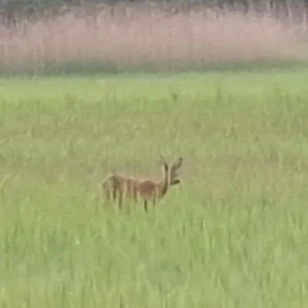 Am Treis Horská chata Wieringerwerf