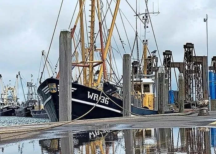 Am Treis Chalet Wieringerwerf