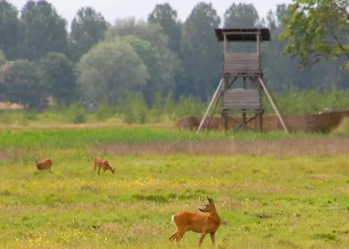 Am Treis * Wieringerwerf