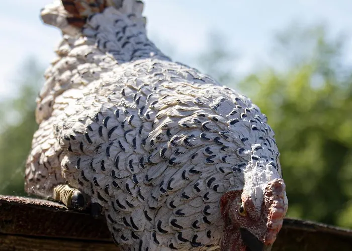 Am Treis Wieringerwerf