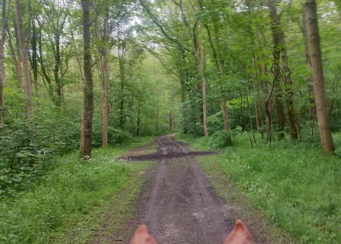 Am Treis * Wieringerwerf